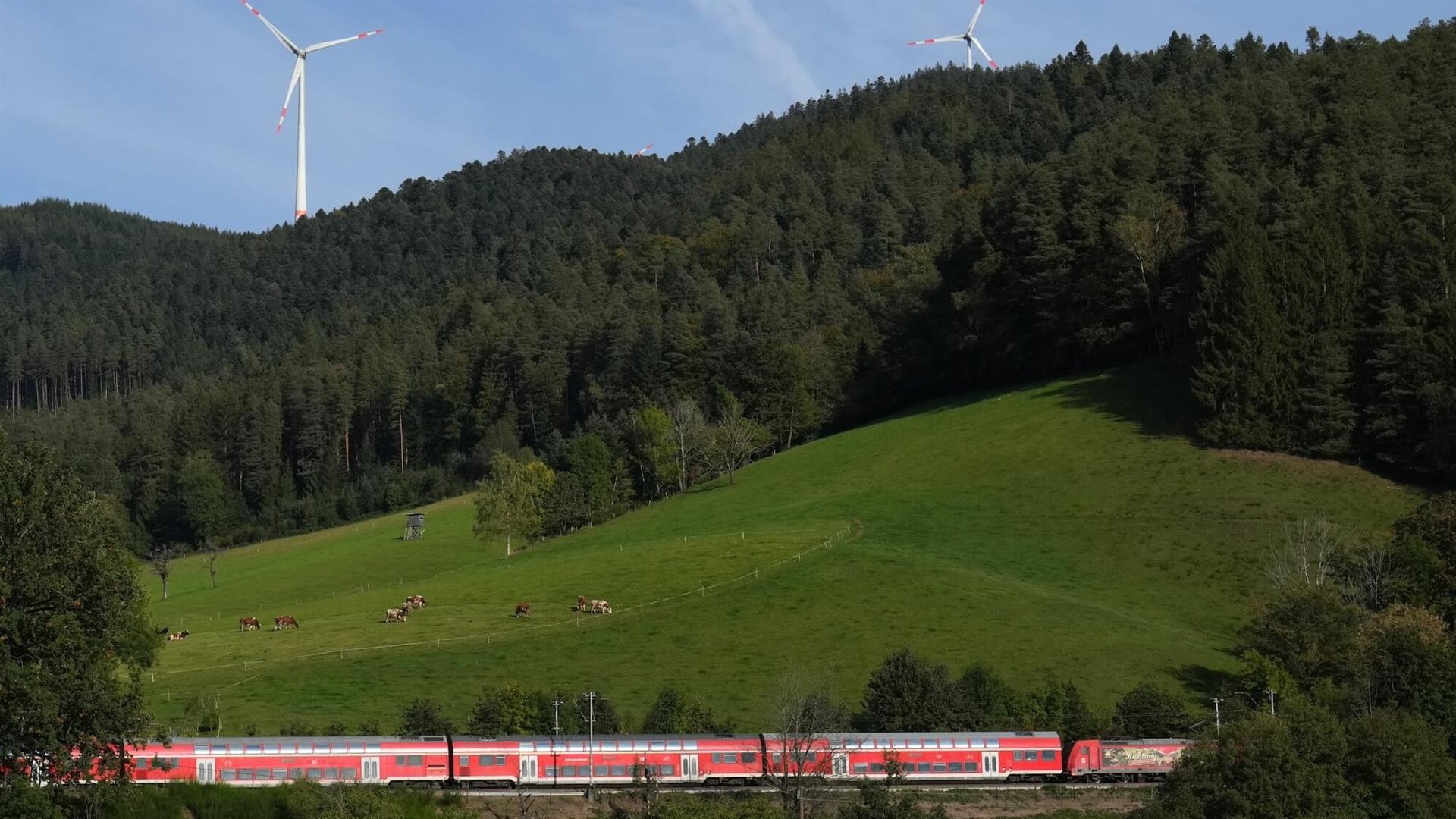 Mischwälder prägen das Landschaftsbild des Schwarzwalds – auch in Triberg bei Hausach. © Deutsche Bahn AG|Oliver Lang