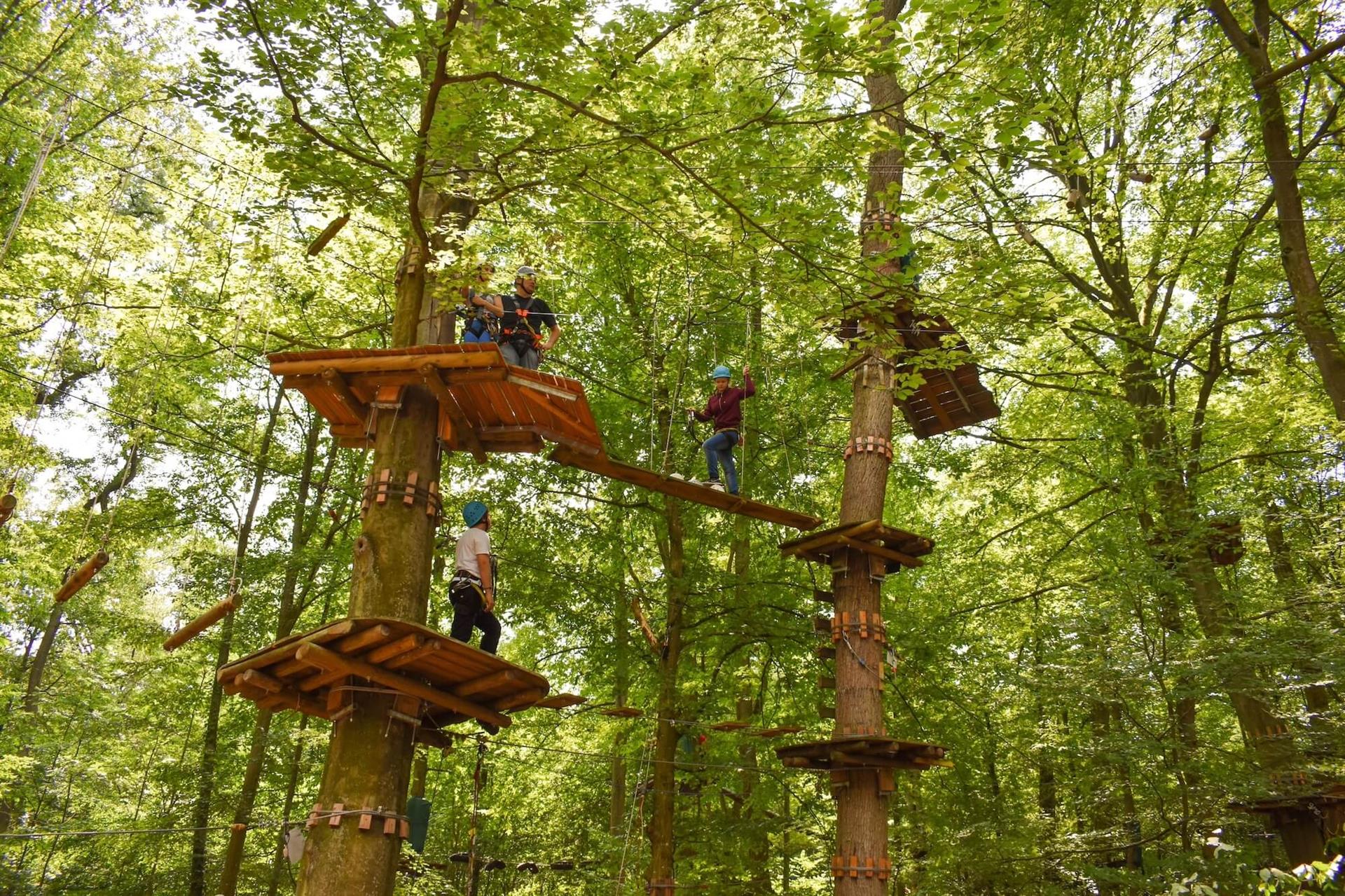 Hoch hinaus geht es im Fun Forest, einem Kletterpark in Kandel.